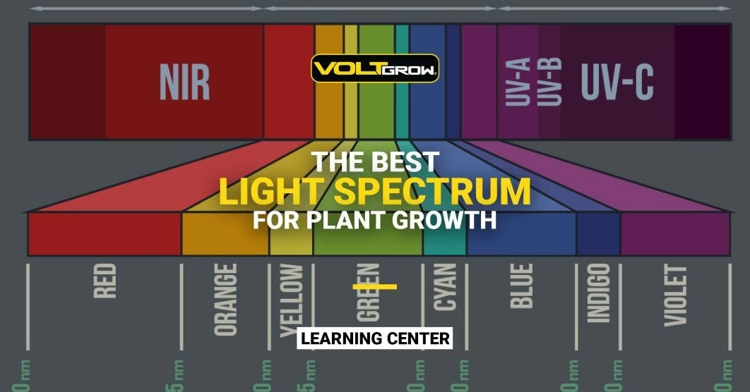 grow light wavelength spectrum for plant growth